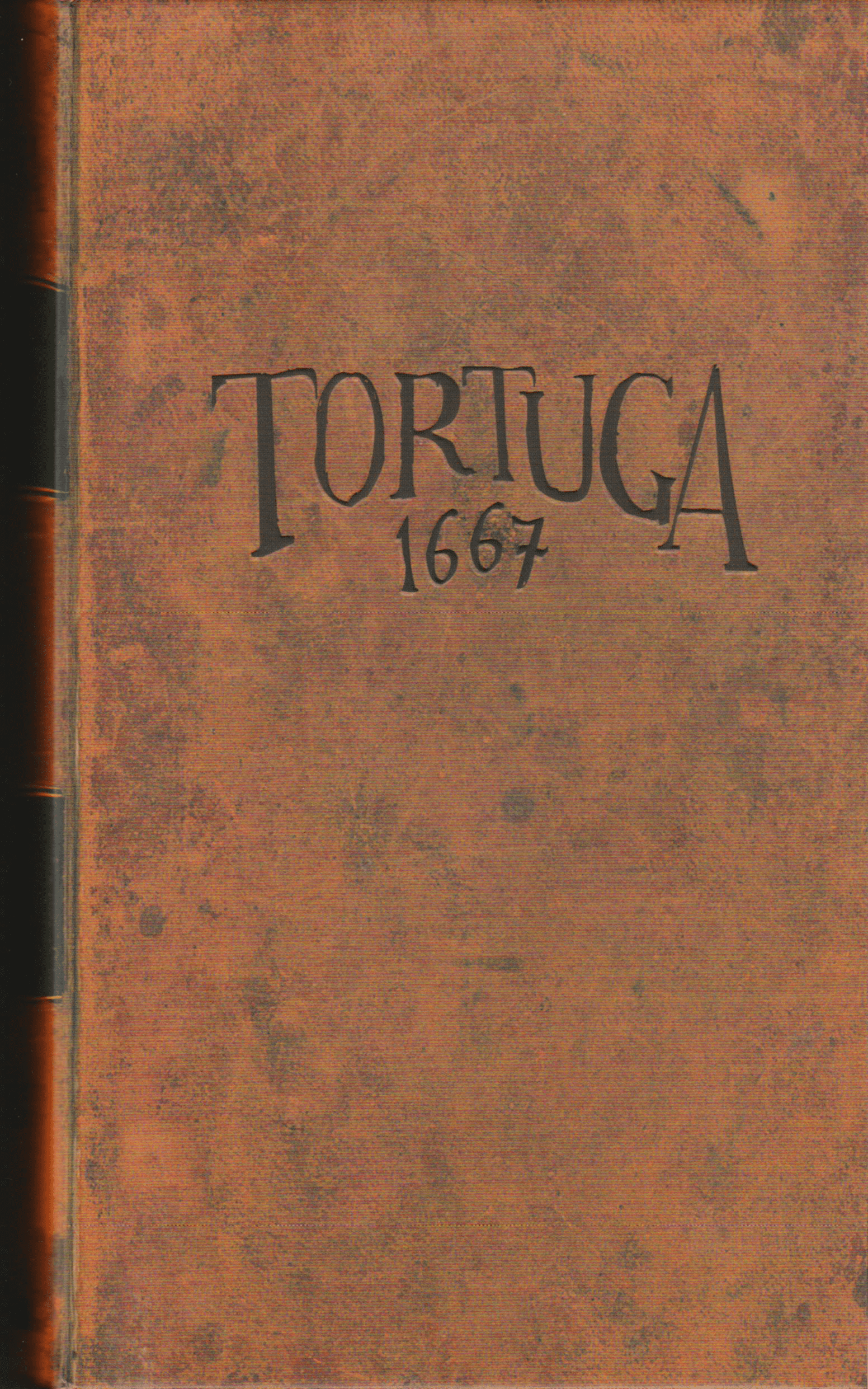 تورتگا 1667 Tortuga 1667