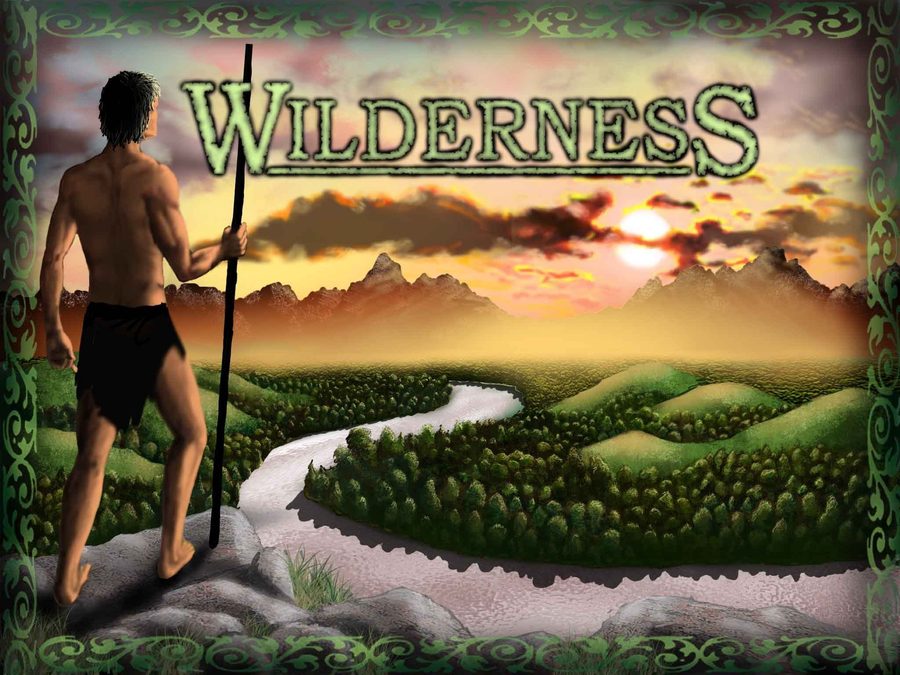 ویلدرنس Wilderness